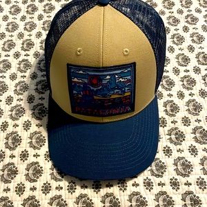 Patagonia hat
